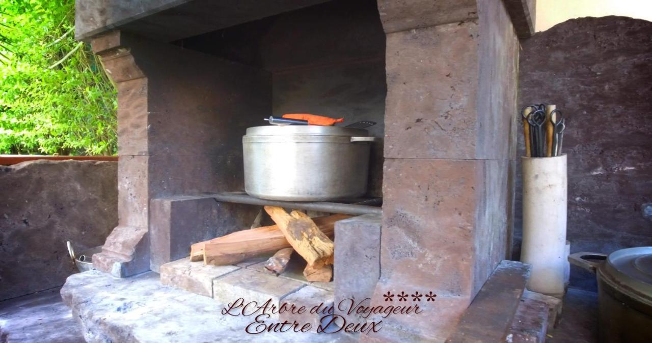 Villa Arbre Du Voyageur, 4 Etoiles Et 4 Clevacances อองเทอร์-โดซ์ ภายนอก รูปภาพ